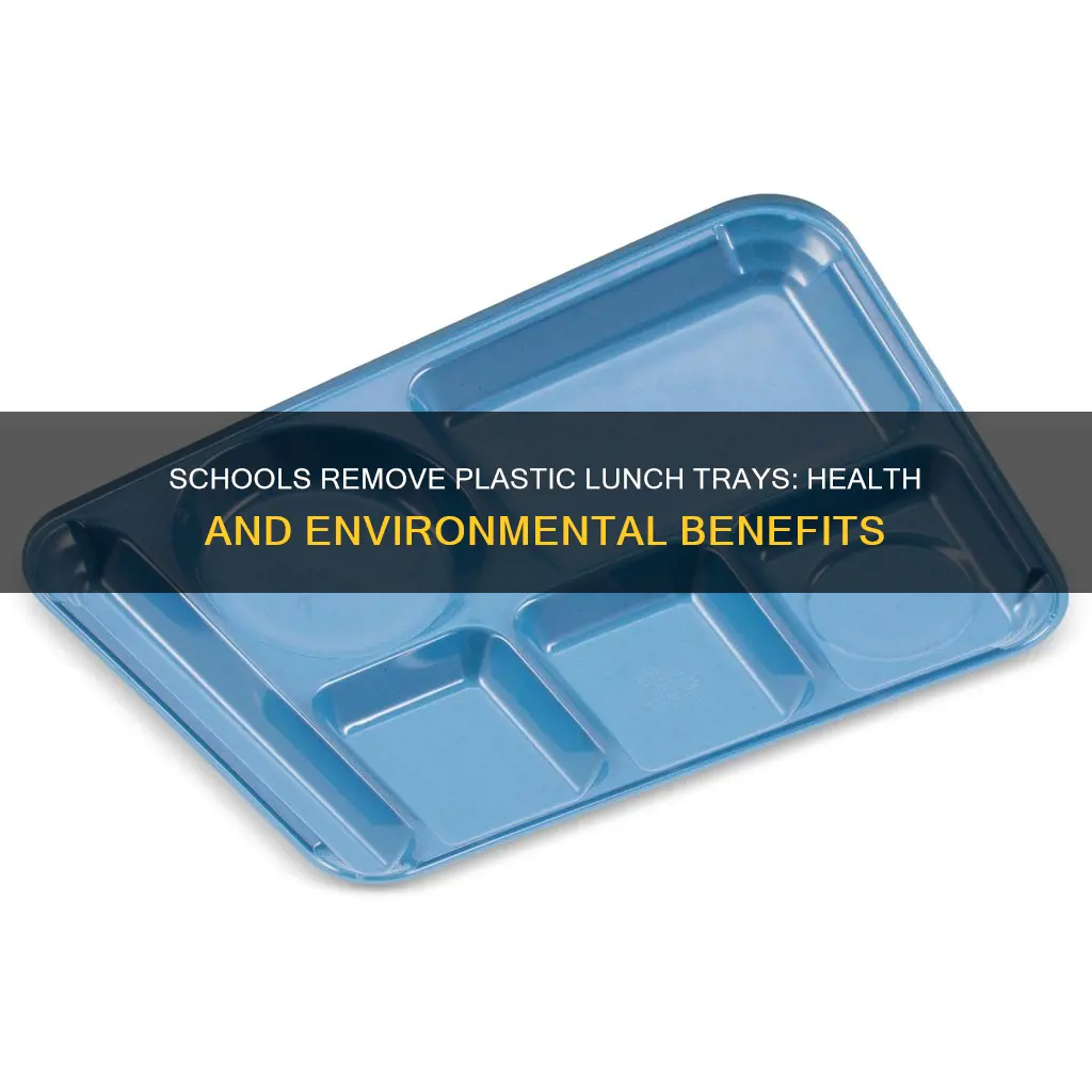 why they took out plastic lunch trays