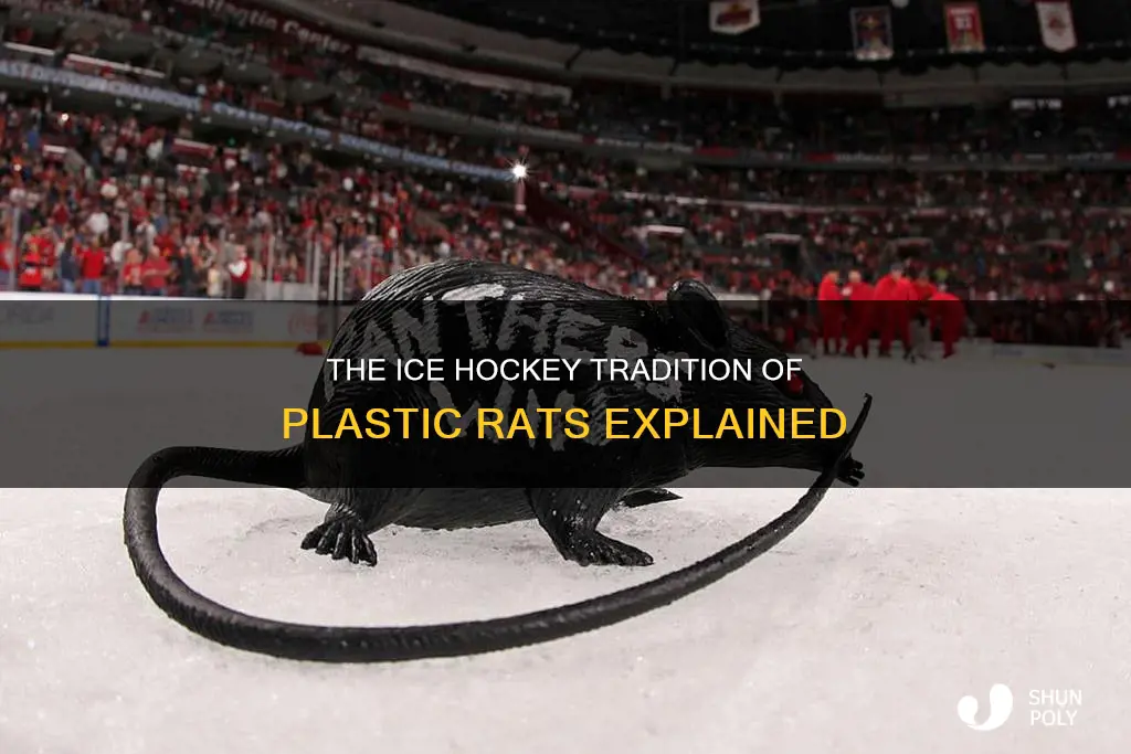 why throw plastic rats on the ice