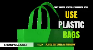 Why America Clings to Plastic Bags: A Persistent Environmental Dilemma