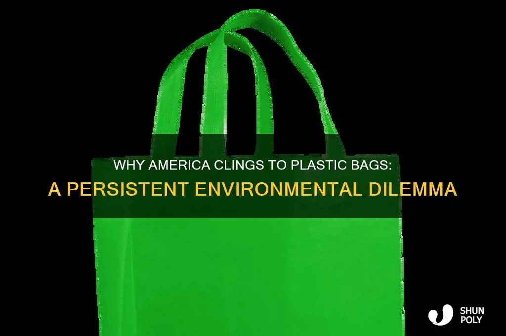 why united states of america still use plastic bags