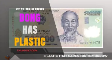 Plastic in Vietnamese Dong: Why the Change?
