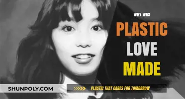 Plastic Love's Creation: Unraveling the Story Behind Mariya Takeuchi's Hit
