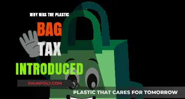 Why Governments Introduced the Plastic Bag Tax: Environmental and Economic Reasons