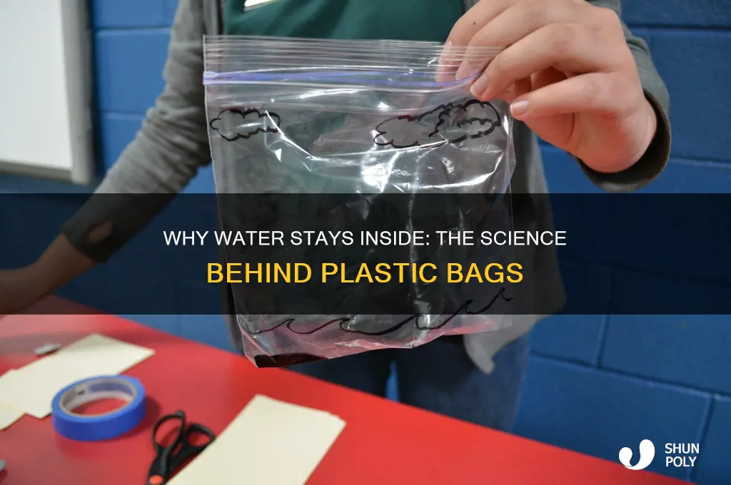 why water doesnt leak through plastic bag picture