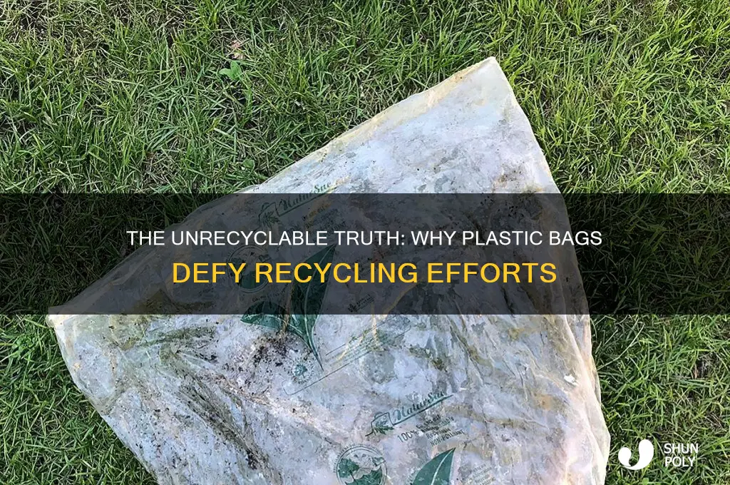 why we cannot reccycle plastic bags
