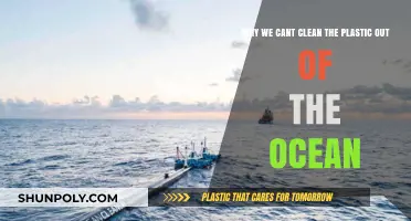 The Ocean's Plastic Crisis: Why Cleanup Efforts Fall Short