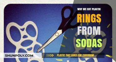 Cutting Plastic Rings: Protecting Wildlife and Reducing Soda Waste