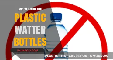 Ditch Plastic Water Bottles: Save Our Planet, Health, and Future