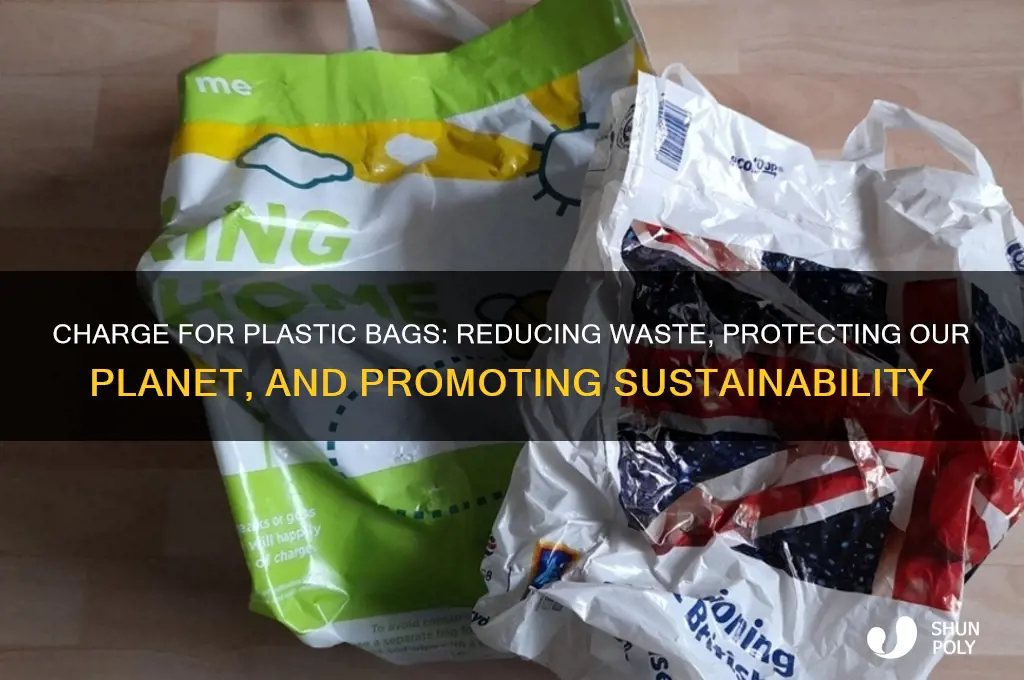 why we should charge for plastic bags