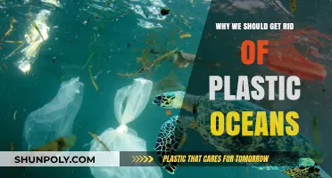 End Plastic Pollution: Save Our Oceans, Protect Marine Life, Secure Our Future