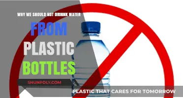 Avoid Plastic Bottles: Protect Your Health and the Environment