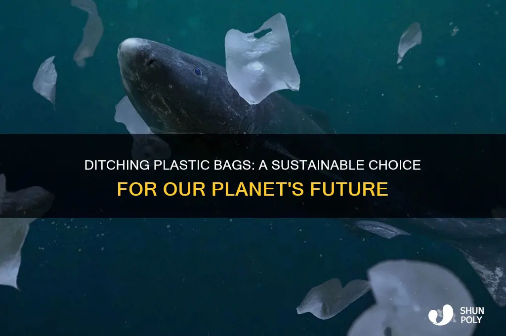 why we should not use plastic bags essay