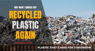 China's Ban on Recycled Plastic Imports: Why and What Now?