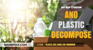 The Dark Truth: Styrofoam and Plastic's Non-Decomposition