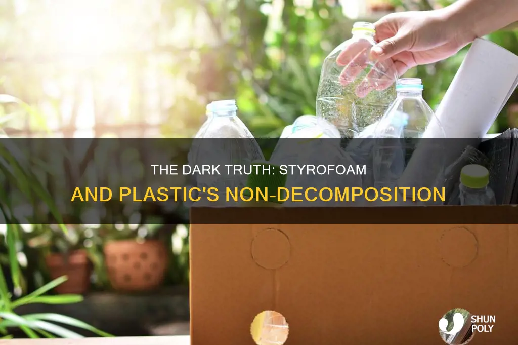 why wont styrofoam and plastic decompose