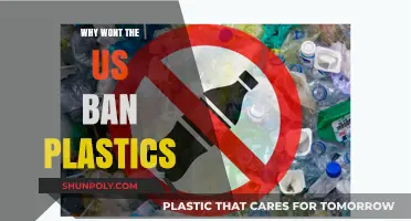 The US Plastics Puzzle: Why No Ban?