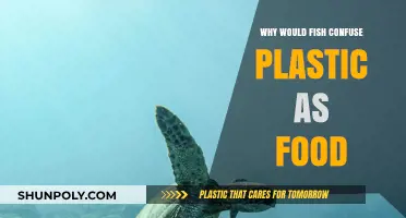 Plastic Pollution: Fish Food Confusion