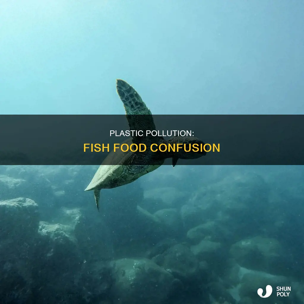 why would fish confuse plastic as food