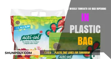 Why Tomatoes Spoil Faster When Ripening in Plastic Bags