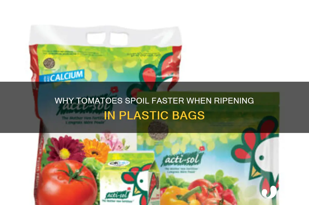 why would tomoato go bad ripening in plastic bag