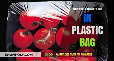 Why Tomatoes Rot in Plastic Bags: Causes and Prevention Tips