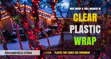Protecting Trees: The Benefits of Wrapping Branches in Clear Plastic