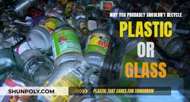 Recycling Plastic and Glass: More Harm Than Good?