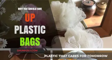 Ditch Plastic Bags: Save the Planet, Embrace Sustainable Alternatives