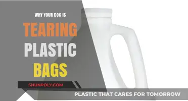 Why Dogs Tear Plastic Bags: Understanding Your Pet's Destructive Behavior