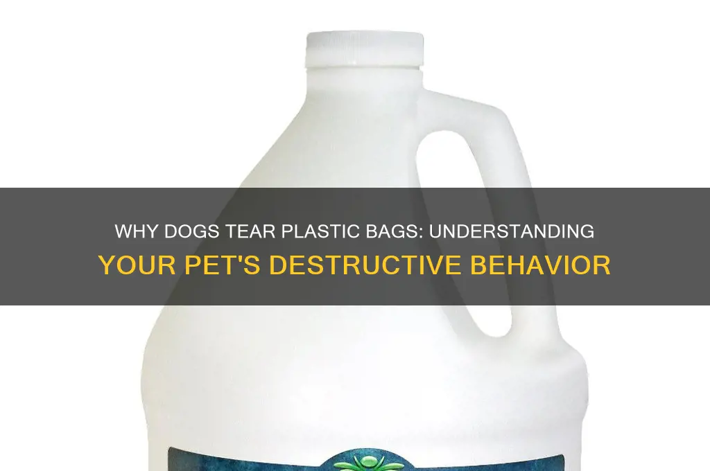 why your dog is tearing plastic bags