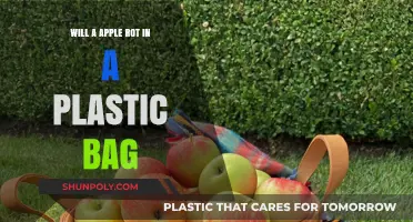 Does an Apple Rot Faster in a Plastic Bag?