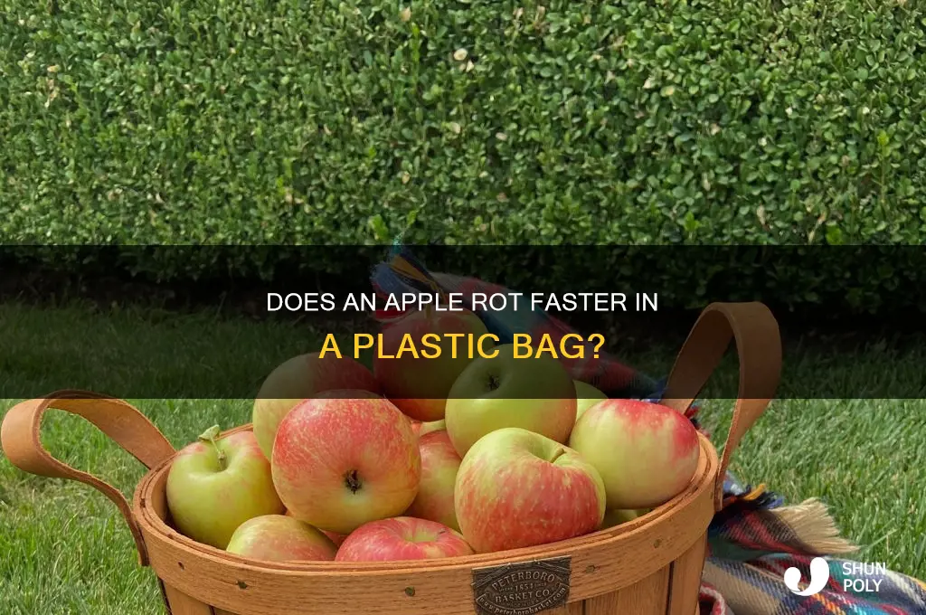will a apple rot in a plastic bag