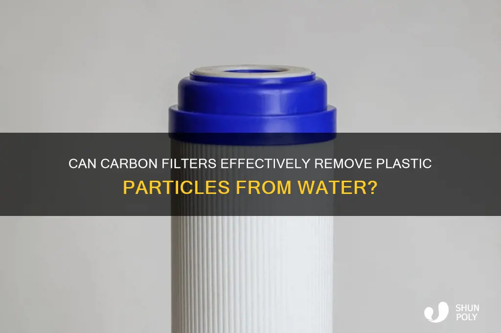 will a carbon filter remove plastic
