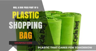 Can Dogs Safely Pass Plastic Bag Fragments? Risks and Solutions