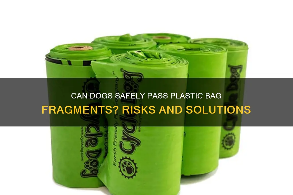 will a dog pass part of a plastic shopping bag