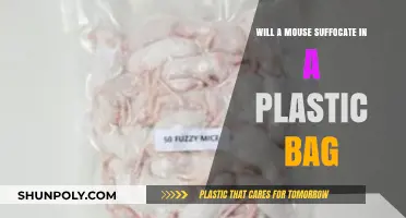 Can Mice Survive in Plastic Bags? Uncovering the Truth About Suffocation