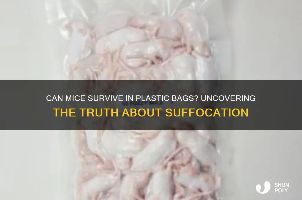 will a mouse suffocate in a plastic bag