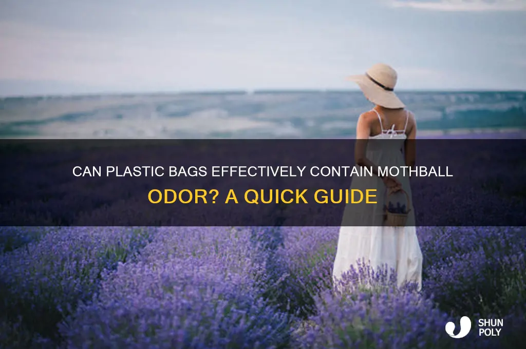 will a plastic bag contain moth ball odor