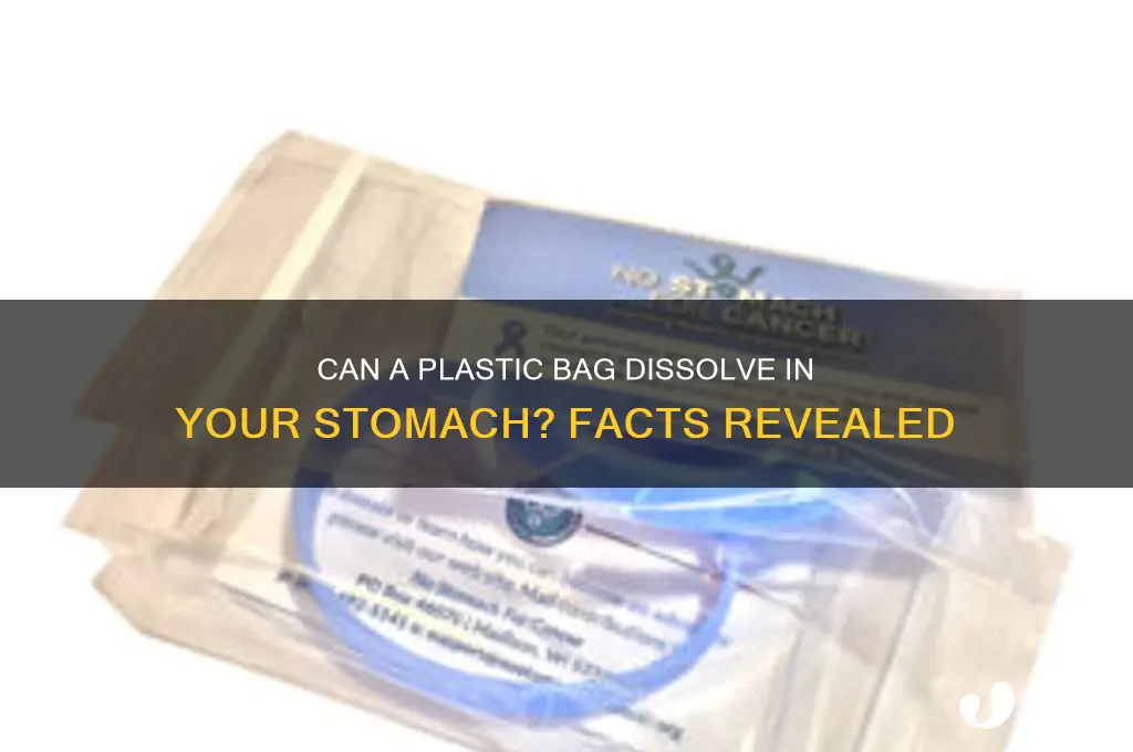 will a plastic bag dissolve in your stomach