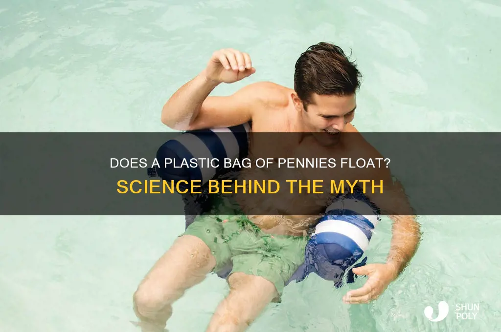 will a plastic bag full of pennies float