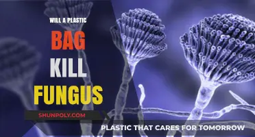 Can Plastic Bags Effectively Eliminate Fungus Growth? Expert Insights
