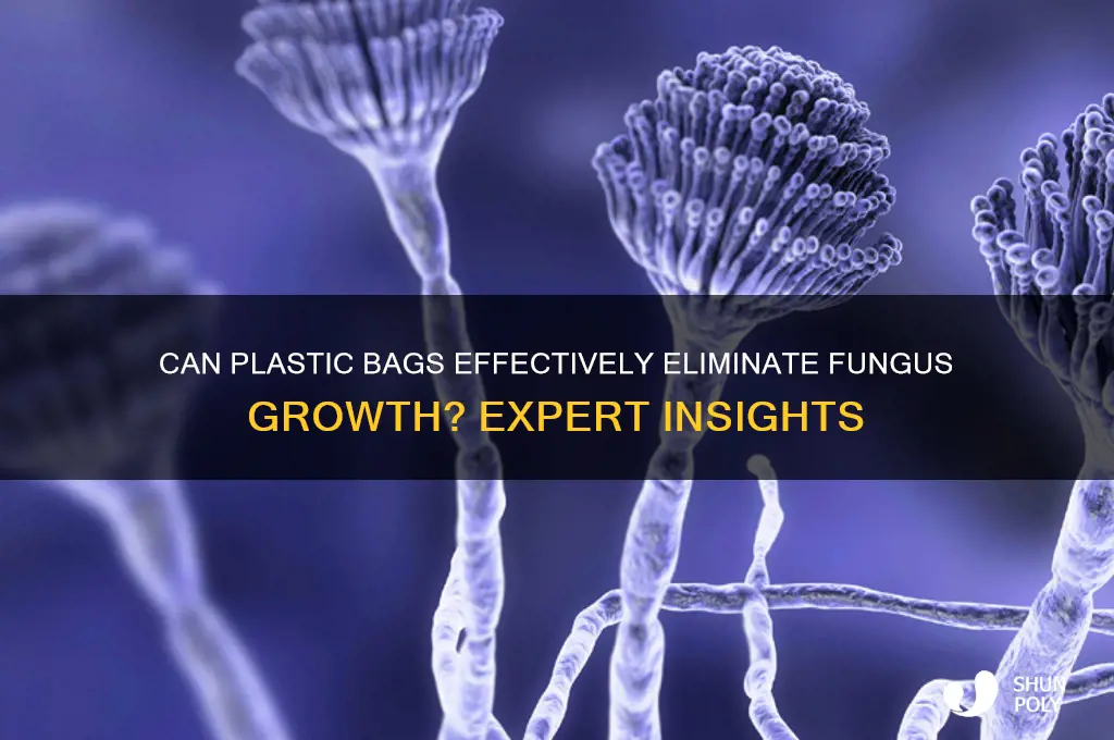will a plastic bag kill fungus