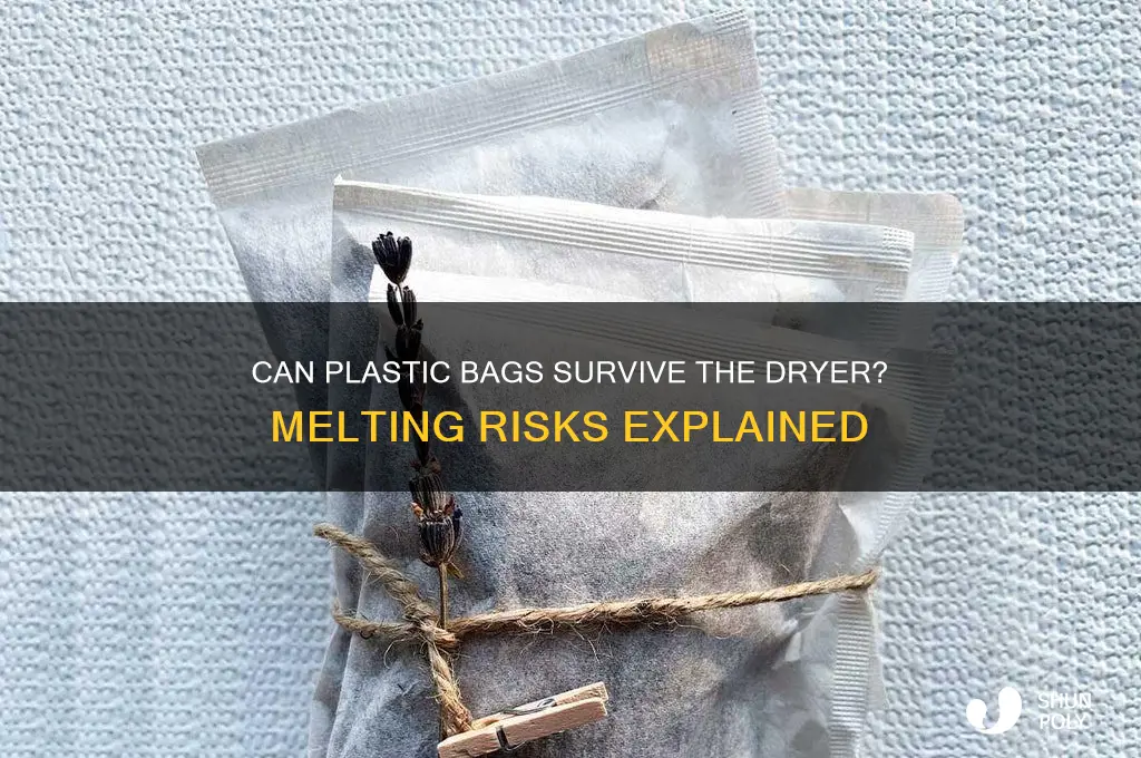 will a plastic bag melt in the dryer