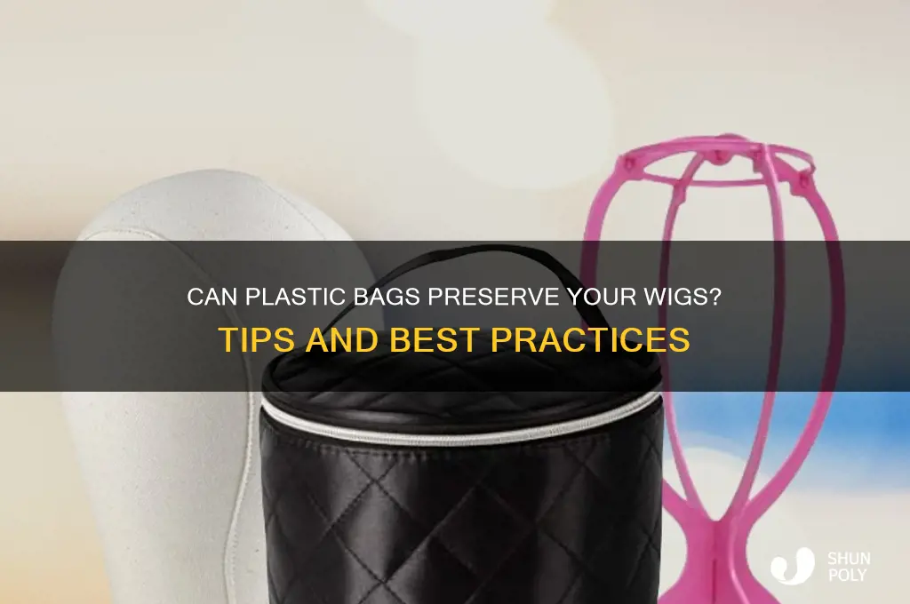 will a plastic bag preservemy wigs