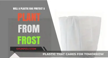 Can Plastic Bags Shield Plants from Frost Damage? Expert Tips
