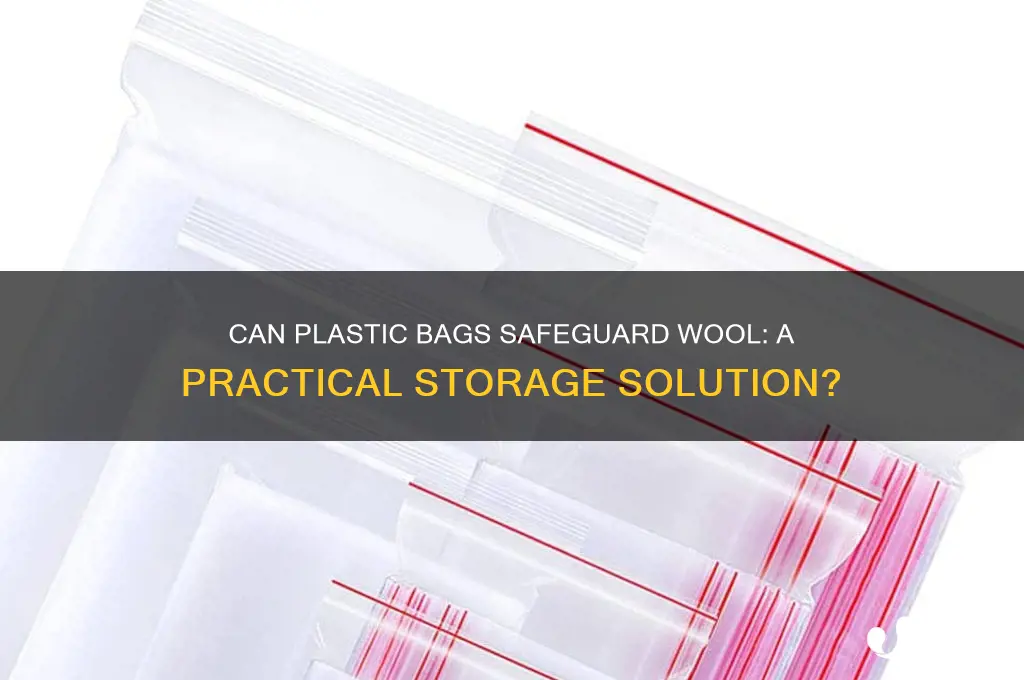will a plastic bag protect my wool