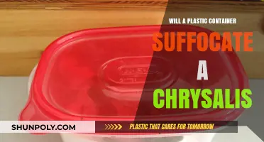 Plastic Containers: Safe or Deadly for Chrysalis?
