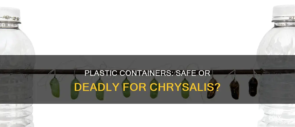 will a plastic container suffocate a chrysalis