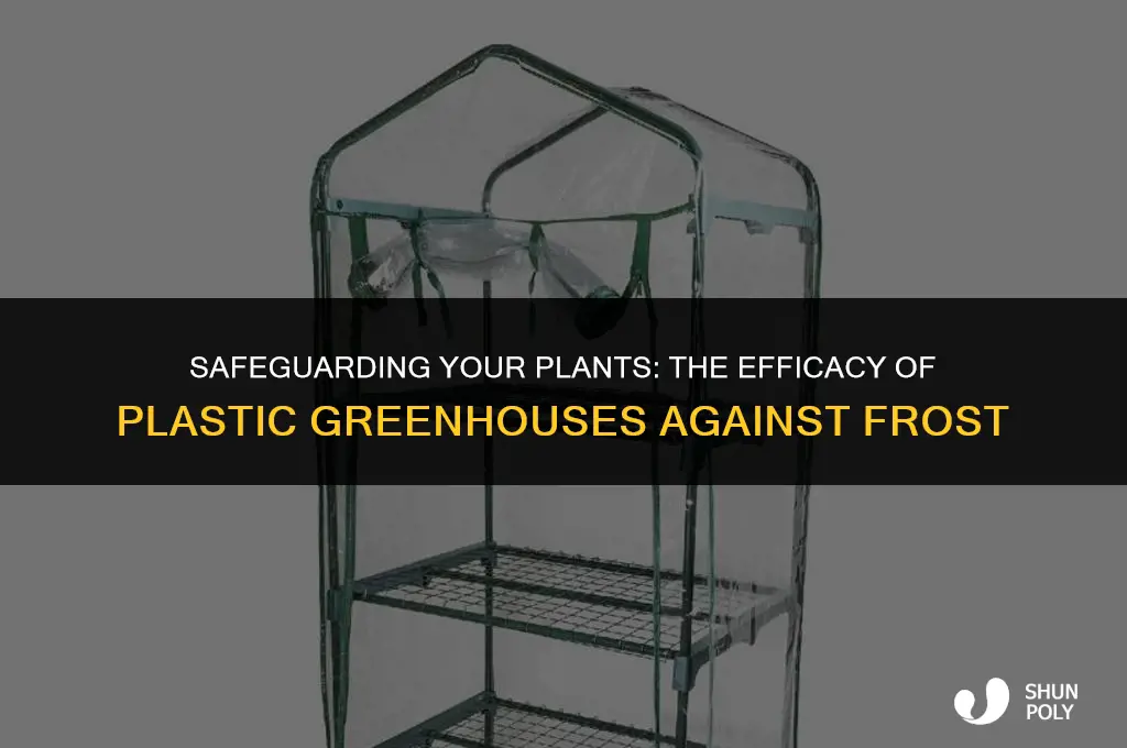 will a plastic greenhouse protect from frost