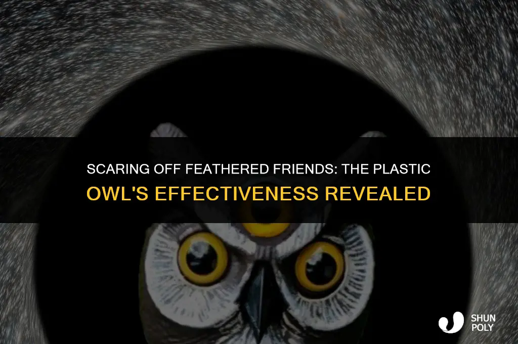 will a plastic owl keep birds away